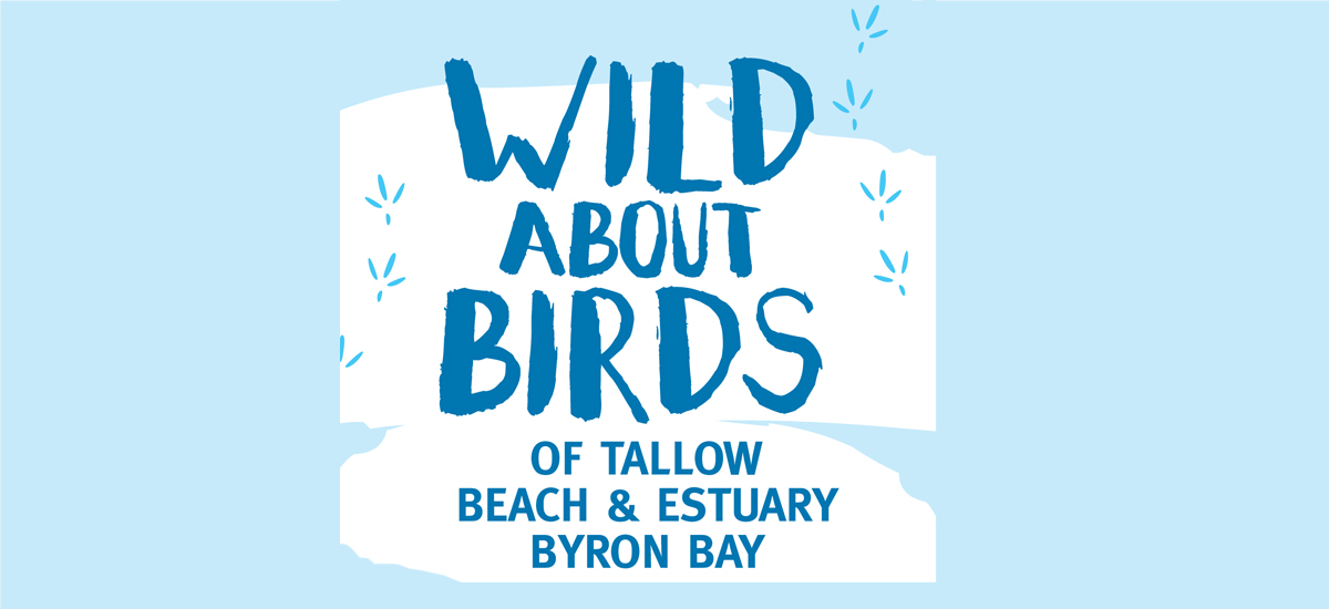 Wild About Birds of Tallow Beach & Estuary Byron Bay