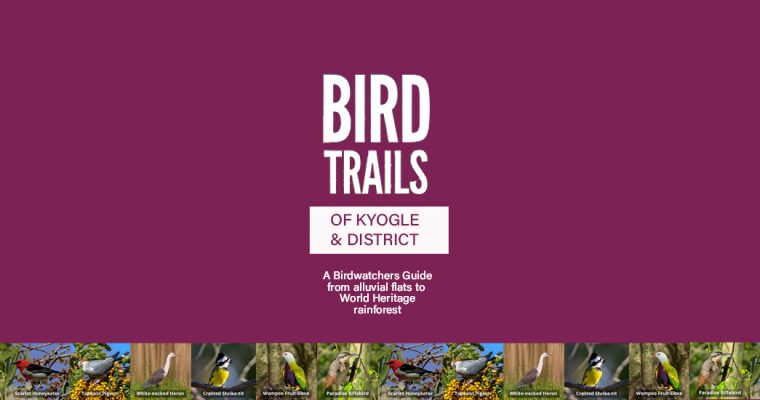 Bird Trails of Kyogle & District
