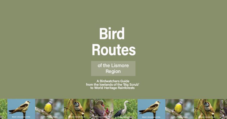 Bird Routes of the Lismore Region
